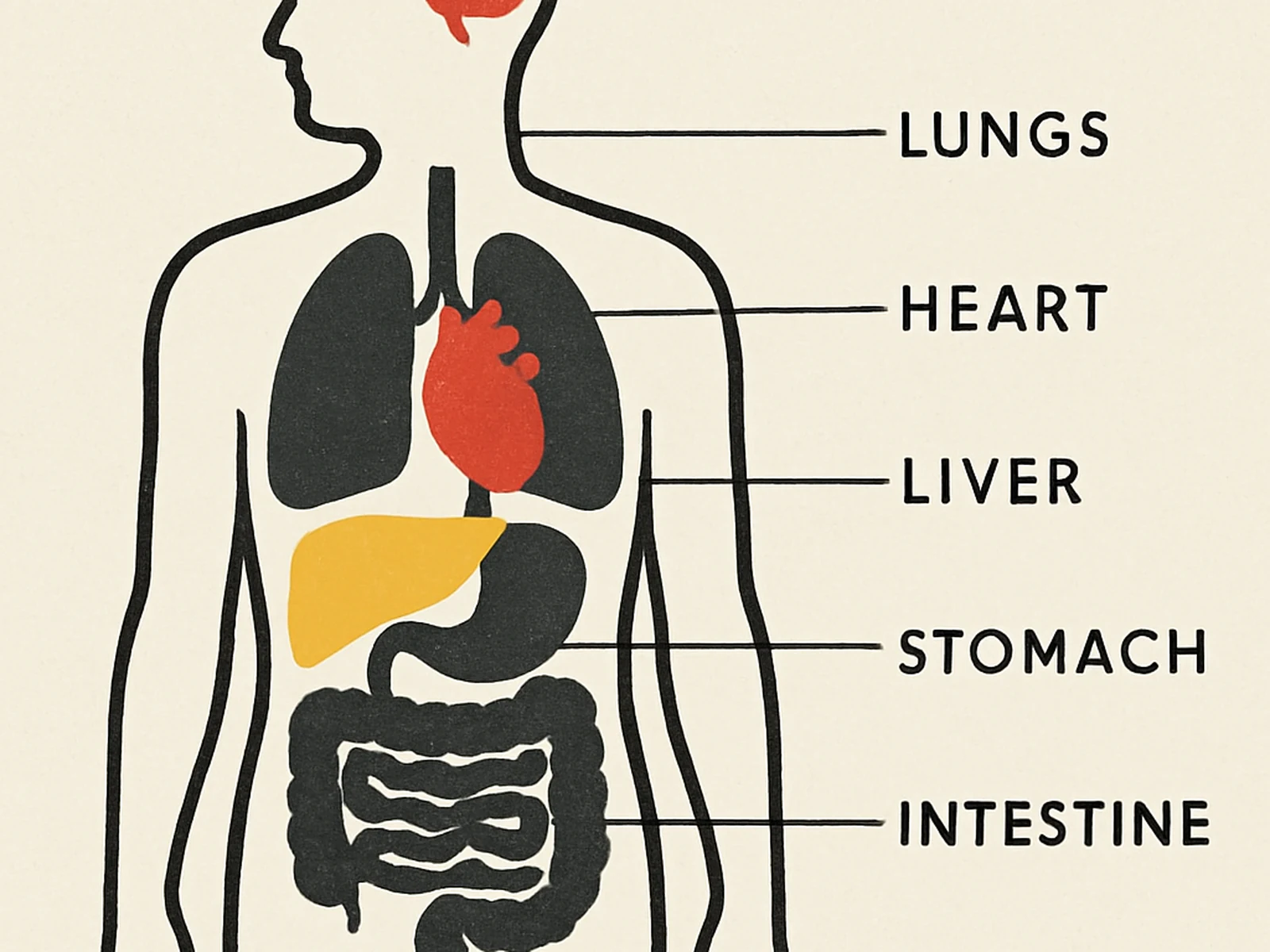 Plejad Health